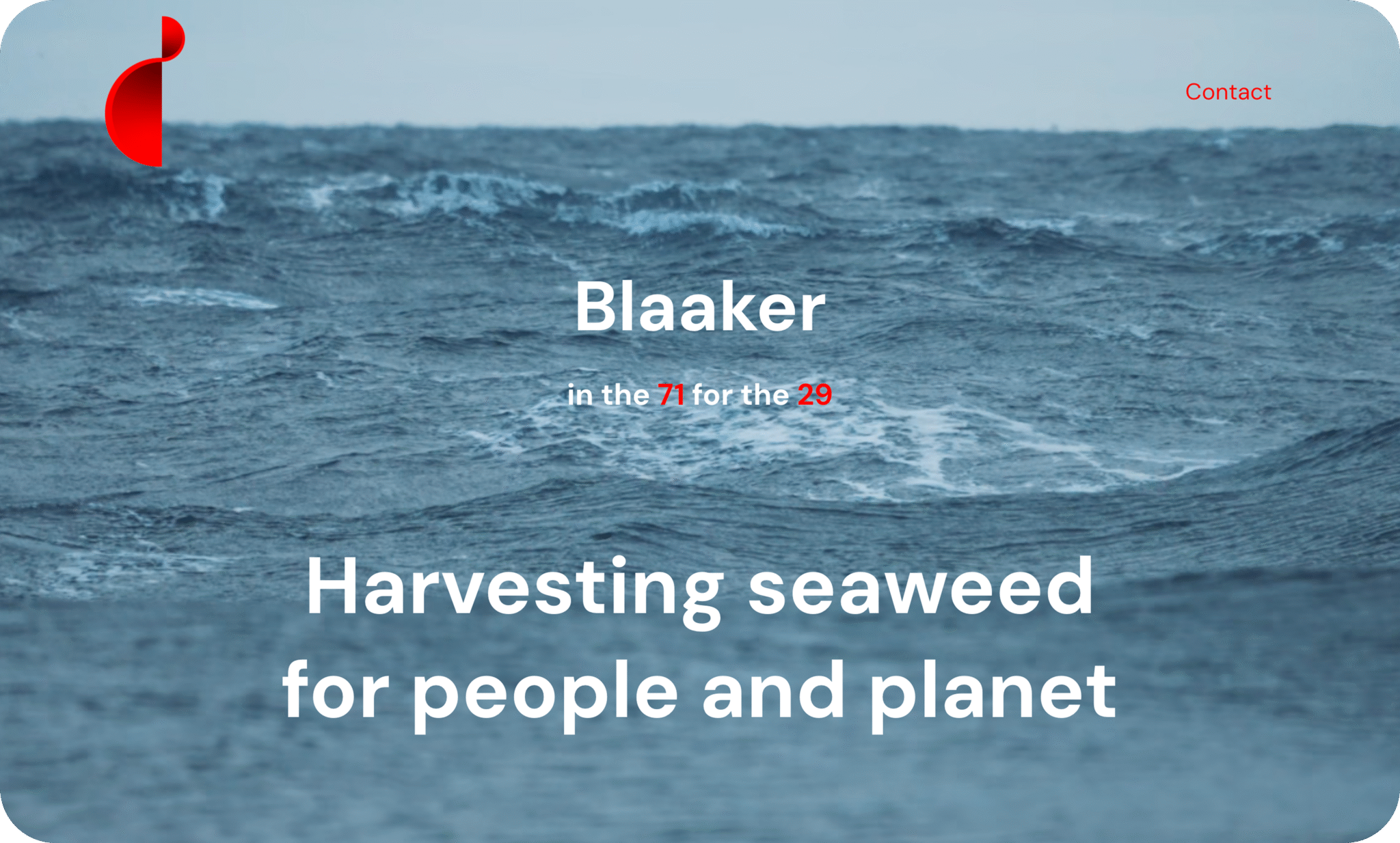 Blaaker - moderne nettside med unikt design